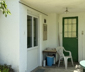 Haus, Laze Vasine