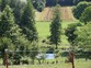 Ku�a Milanovac, Slika 4