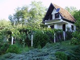 Ku�a Pleternica, Slika 1