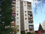 Stan Po�ega, Slika 1